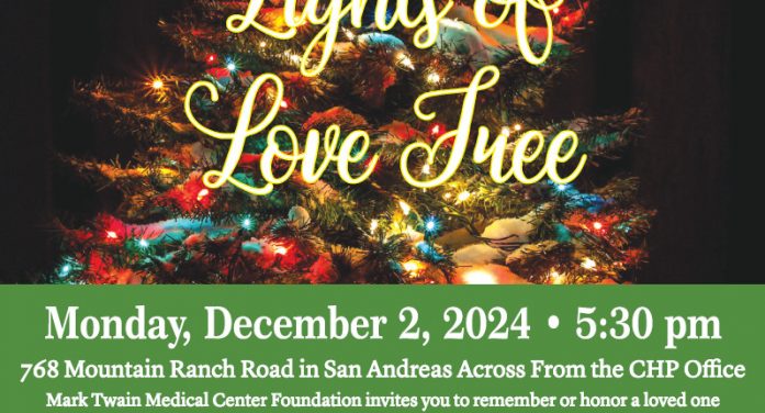 The 2024 MTMC Foundation’s Lights of Love Tree Lighting