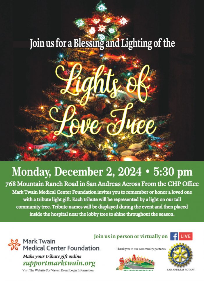 The 2024 MTMC Foundation’s Lights of Love Tree Lighting