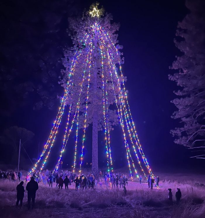 The Avery Christmas Tree Says Thank You!!