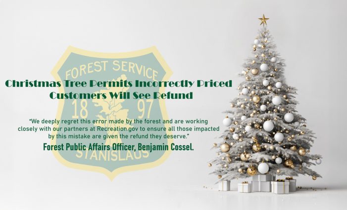 Christmas Tree Permits Incorrectly Priced – Customers Will See Refund