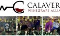 Calaveras Winegrape Alliance Generates $11,300 at Annual Grape Stomp Auction to Benefit Students and Community Causes