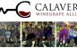 Calaveras Winegrape Alliance Generates $11,300 at Annual Grape Stomp Auction to Benefit Students and Community Causes