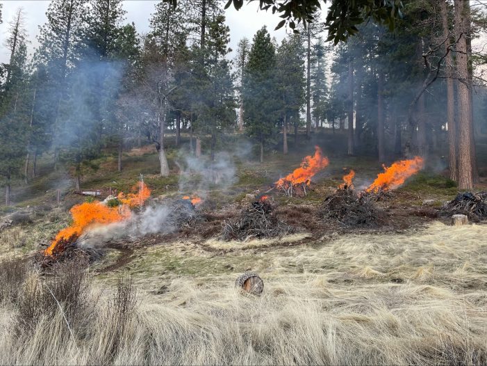 3,000 Acres of Pile Burning Now Underway on Stanislaus National Forest