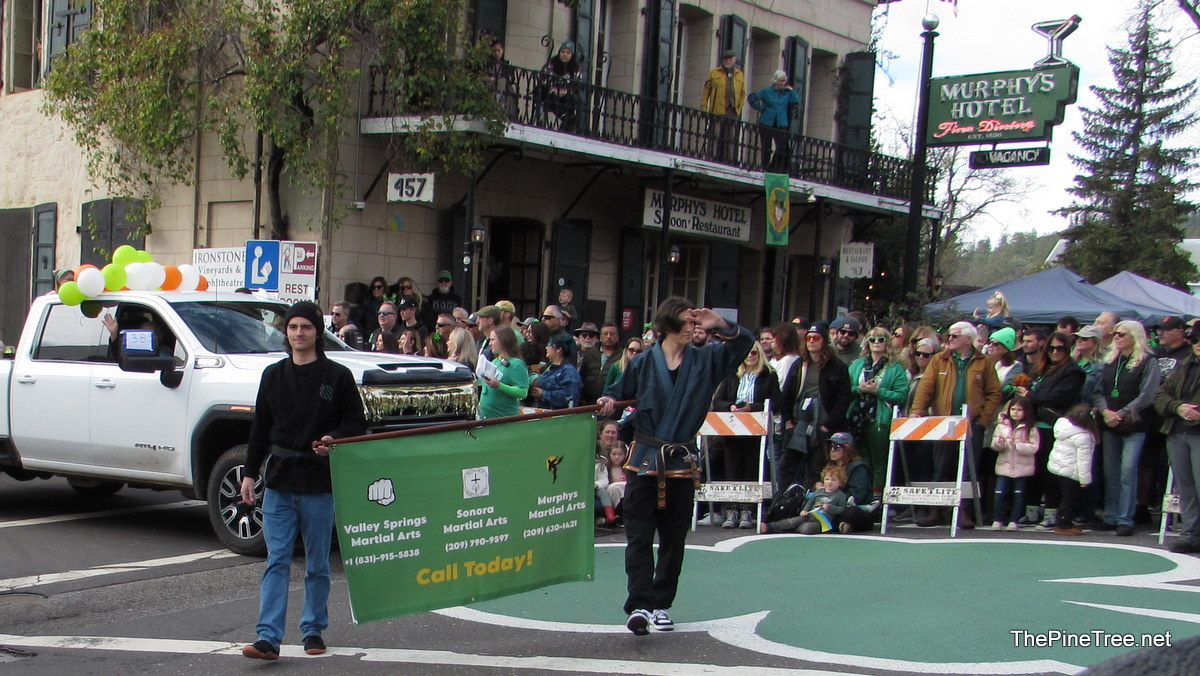 IrishDay25 (124)