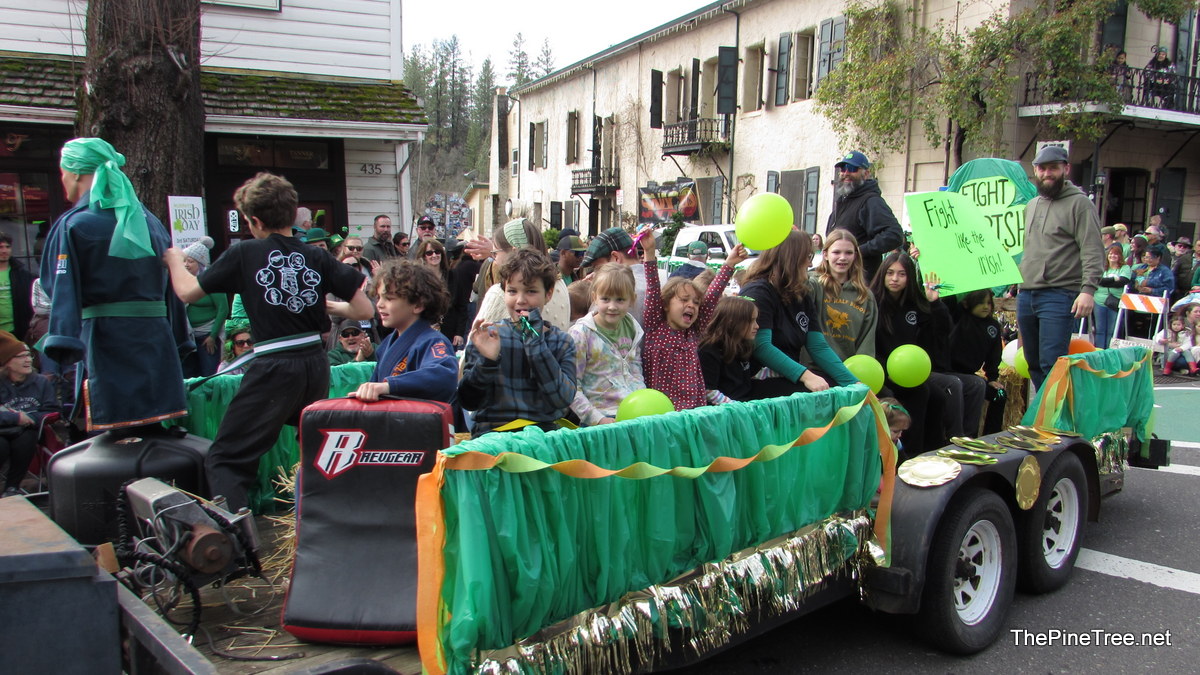 IrishDay25 (127)