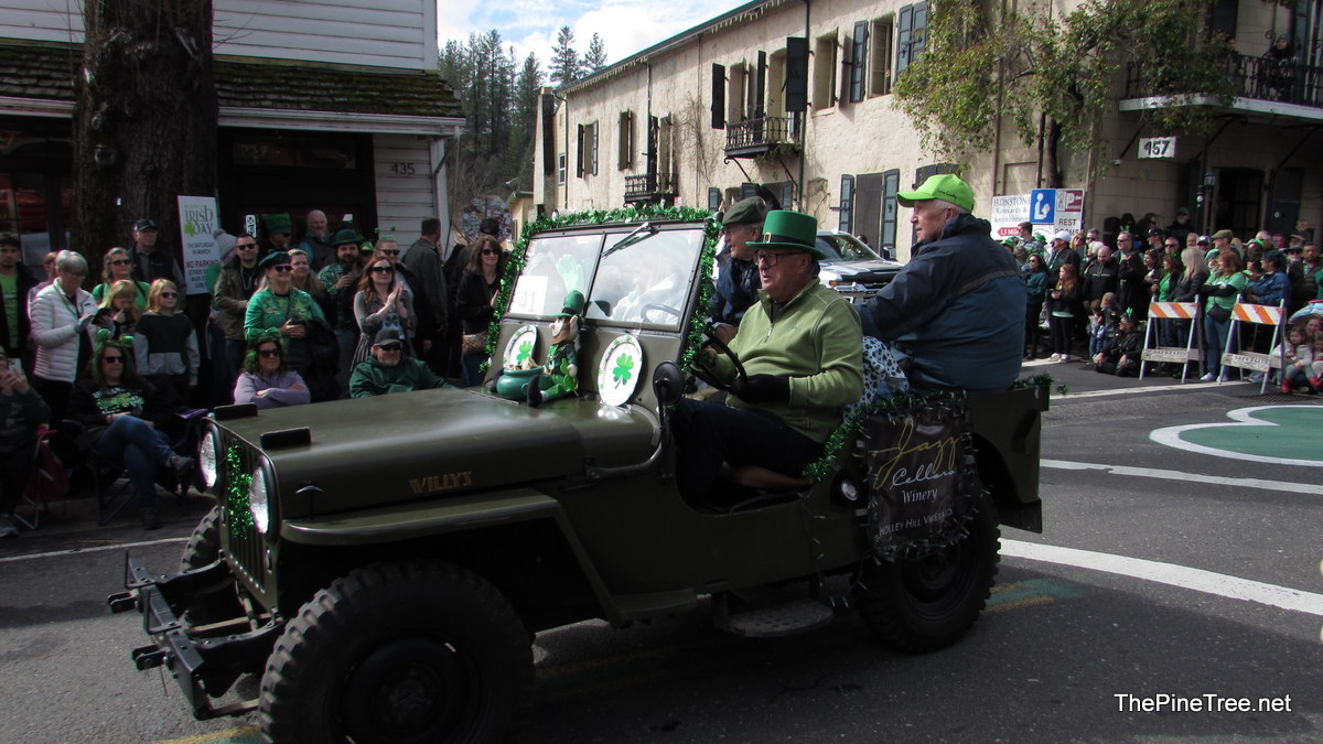 IrishDay25 (138)