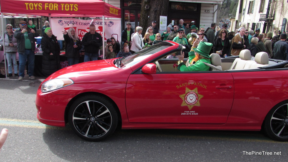 IrishDay25 (147)