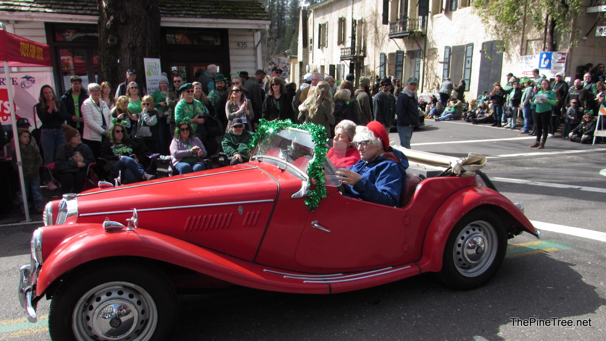 IrishDay25 (155)