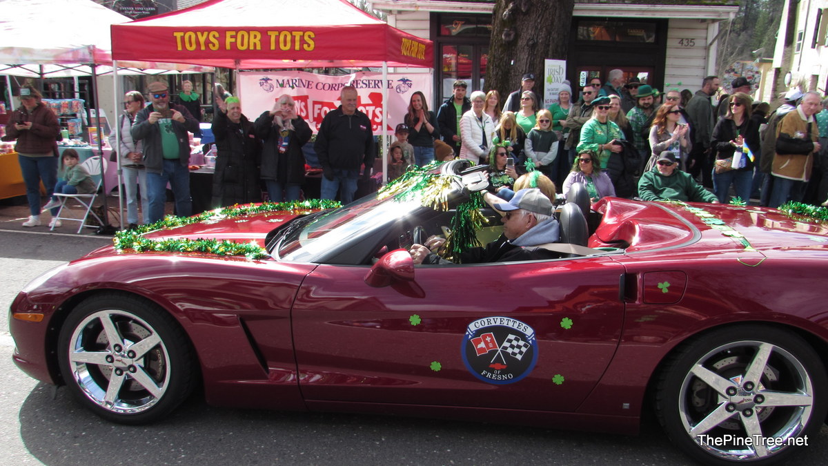 IrishDay25 (159)
