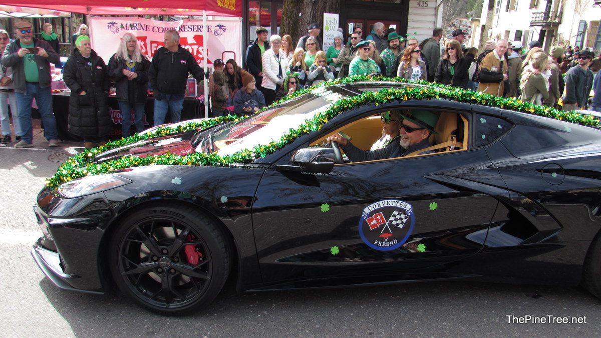 IrishDay25 (161)