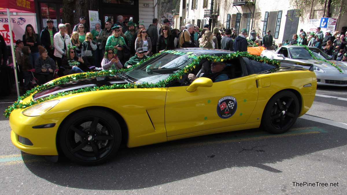 IrishDay25 (163)