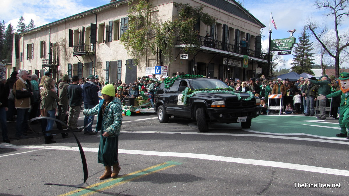 IrishDay25 (177)