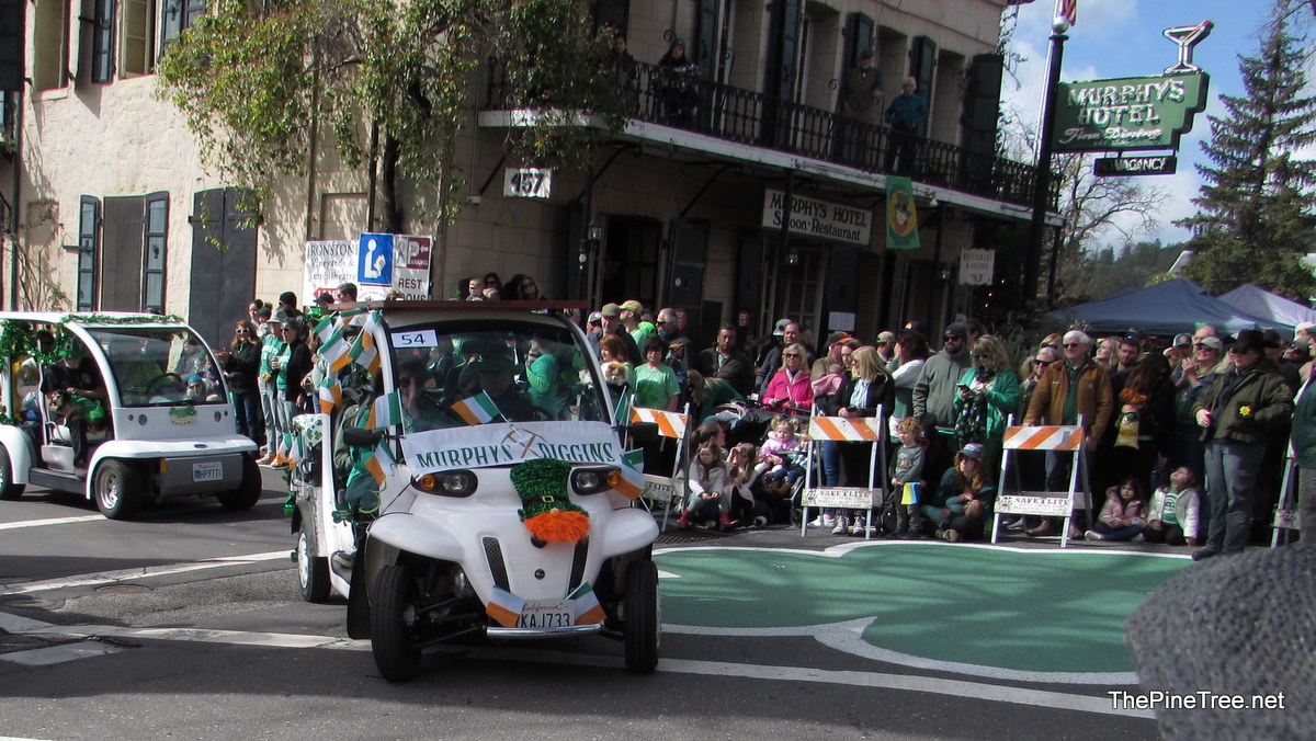 IrishDay25 (191)
