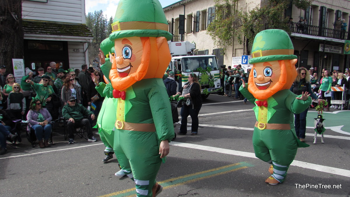 IrishDay25 (207)