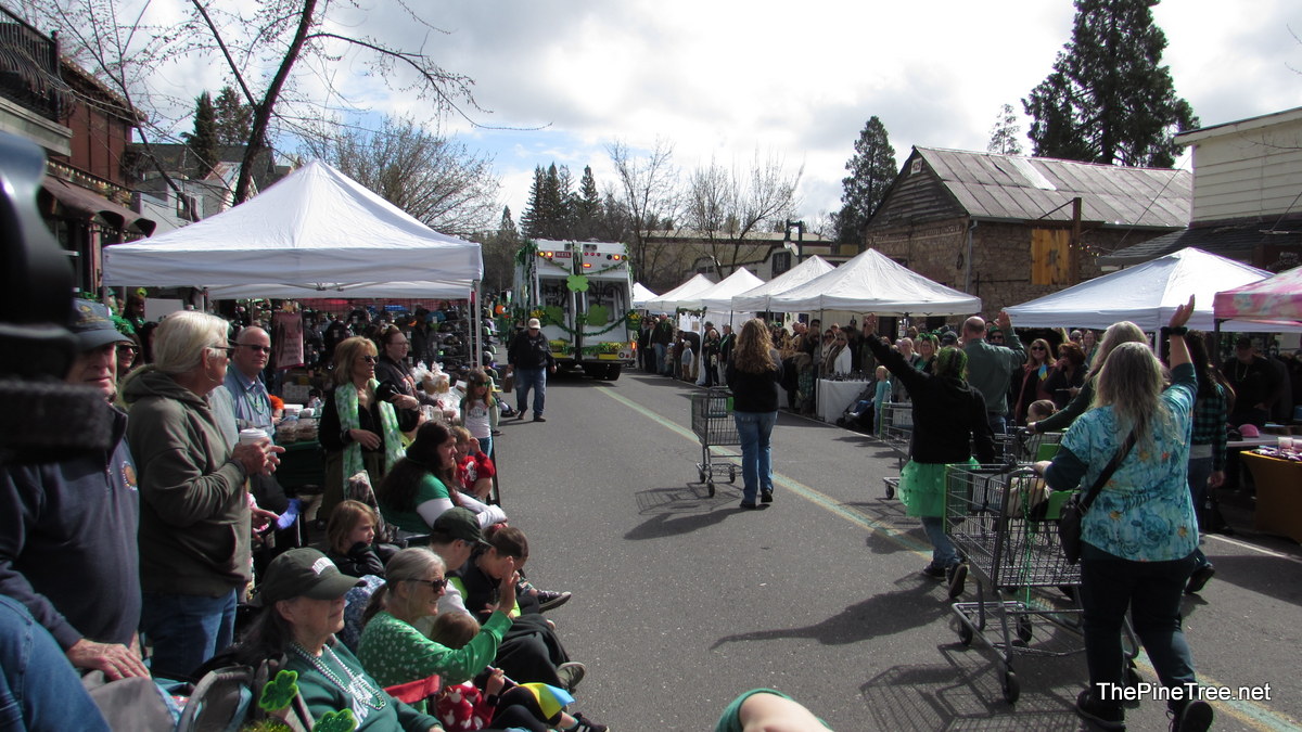IrishDay25 (212)