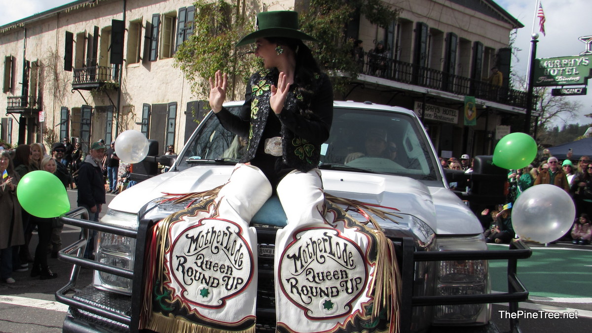 IrishDay25 (30)
