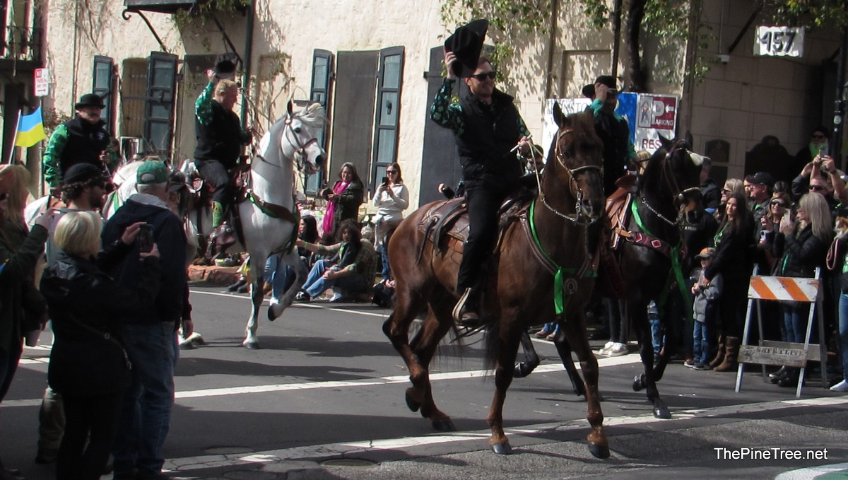 IrishDay25 (36)
