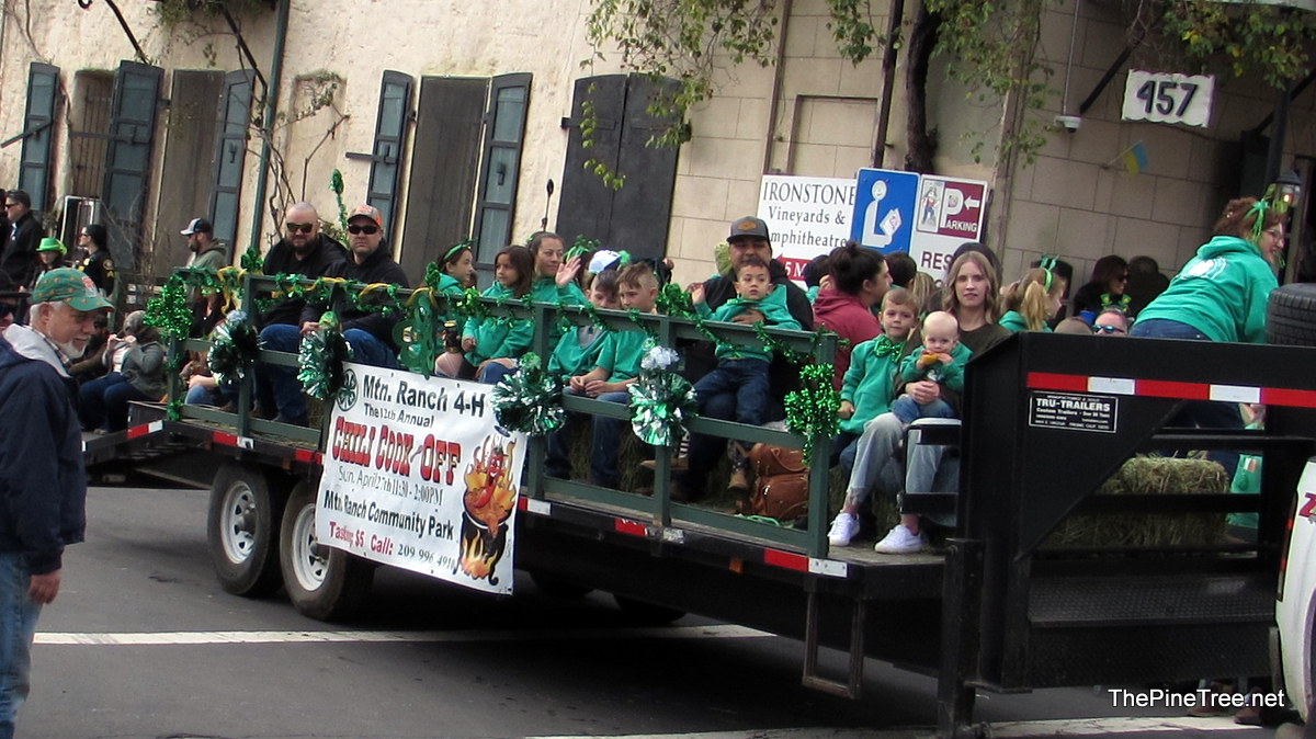 IrishDay25 (67)