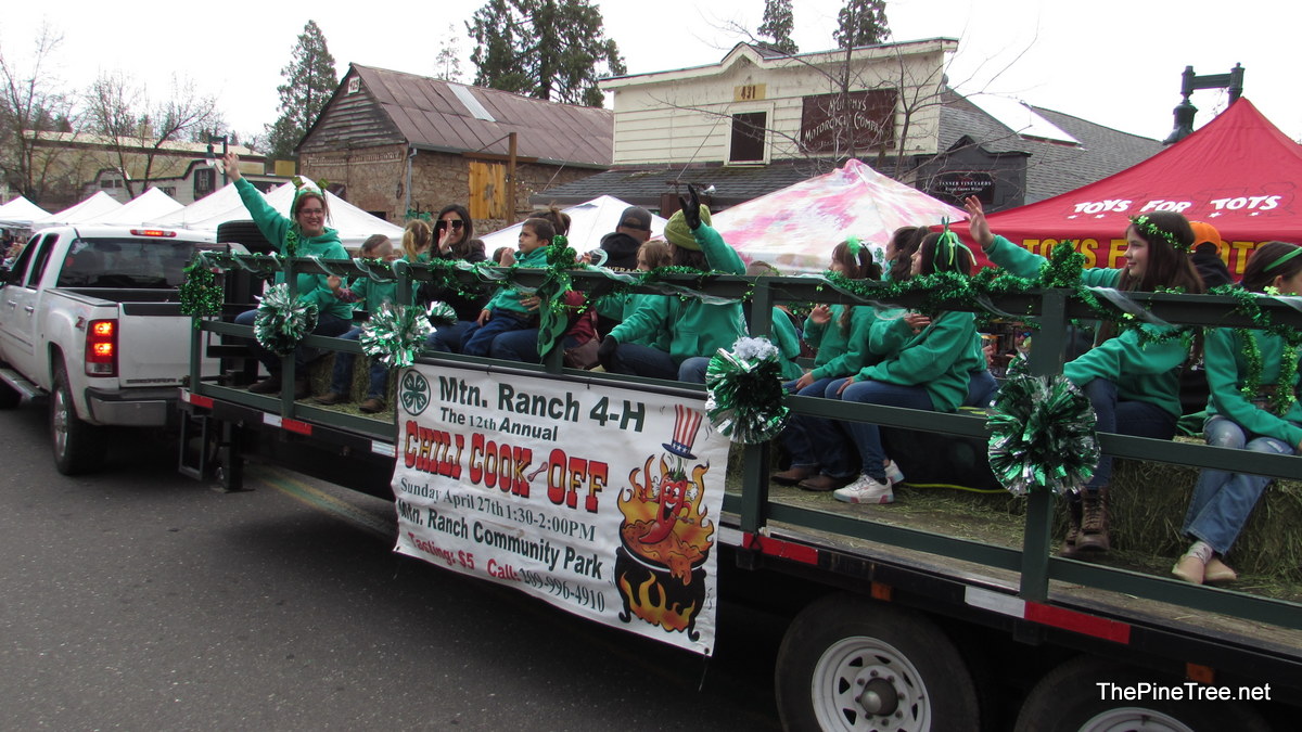 IrishDay25 (69)