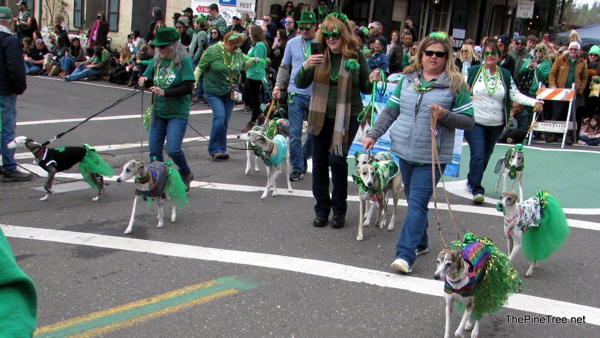 IrishDay25 (75)