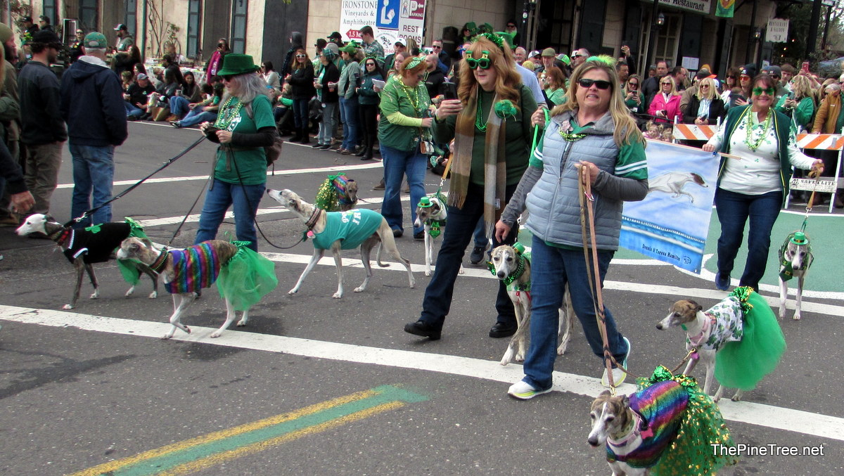 IrishDay25 (76)