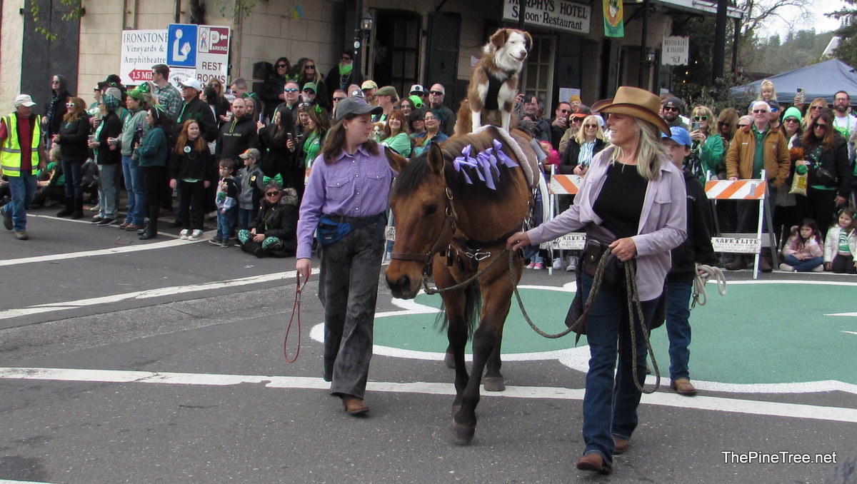 IrishDay25 (80)