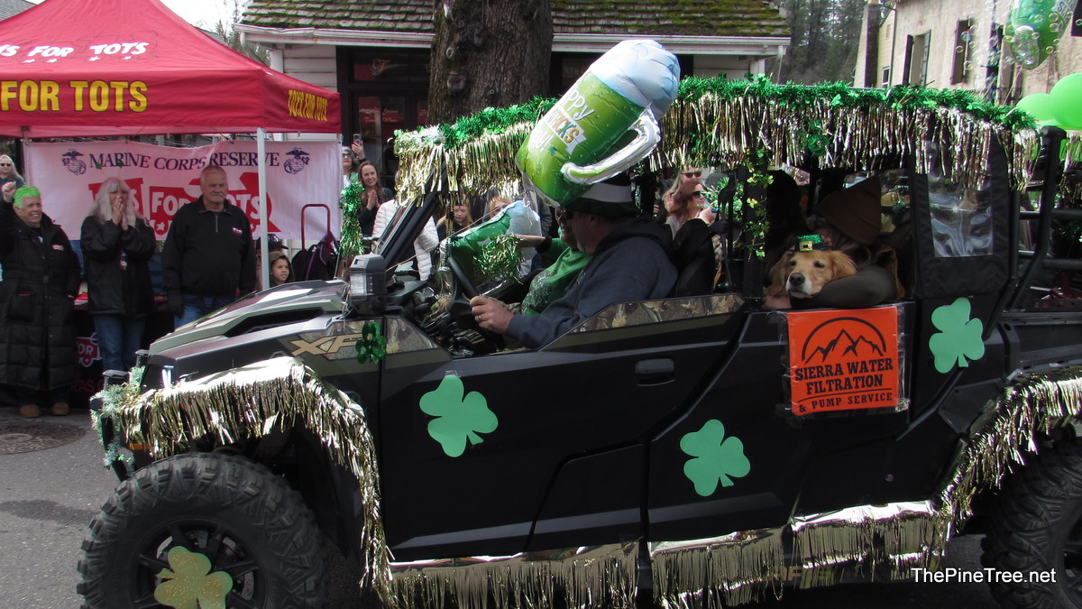 IrishDay25 (89)