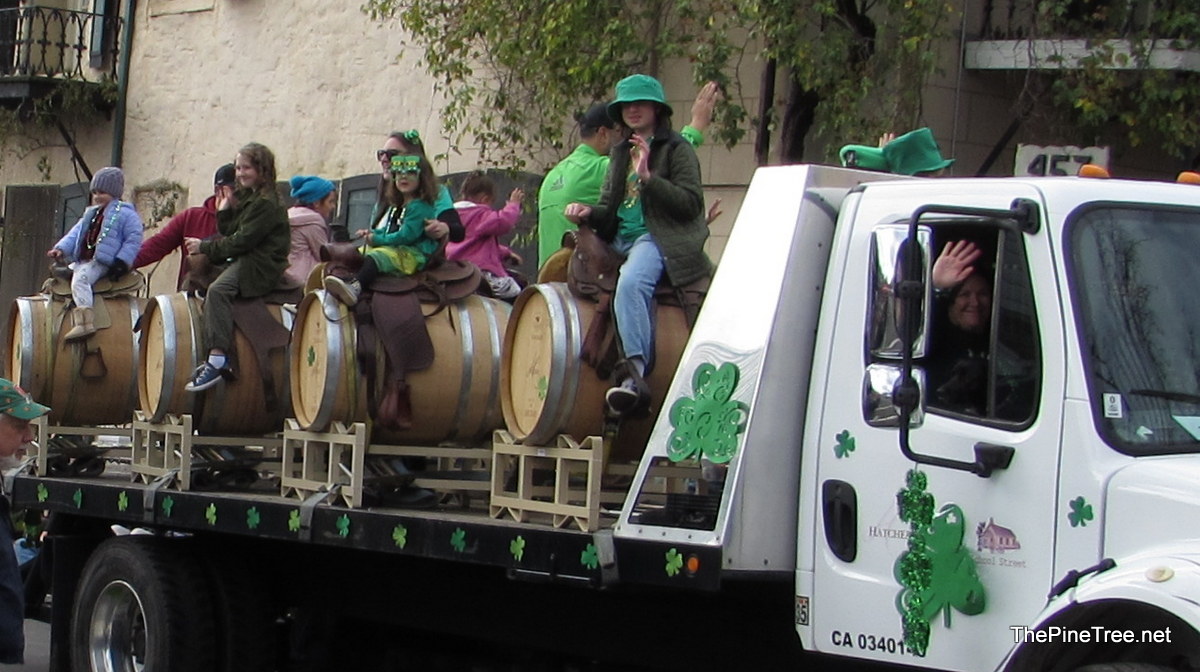 IrishDay25 (93)