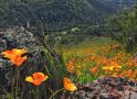Road Trip! Caves, Museums, and Unique Events ~ CVB Feature