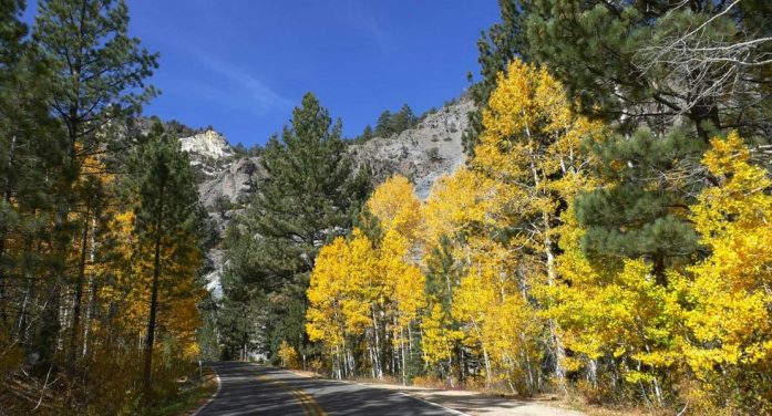 Road Trip! Check out Arnold, Camp Connell, Dorrington, & Ebbetts Pass Scenic Byway