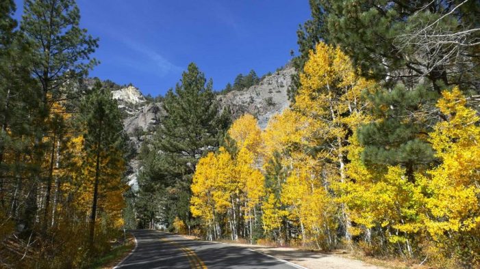 Road Trip! Check out Arnold, Camp Connell, Dorrington, & Ebbetts Pass Scenic Byway