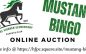 Mustang Bingo Silent Auction (2025) Support Hazel Fischer Elementary School!
