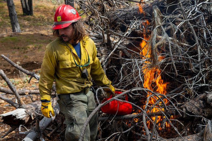 Stanislaus Crews to Begin Pile Burning in Cedar Ridge Area