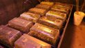 Sheriff’s Office Dismantles Multi-Million Dollar Illegal Marijuana Cultivation Near School