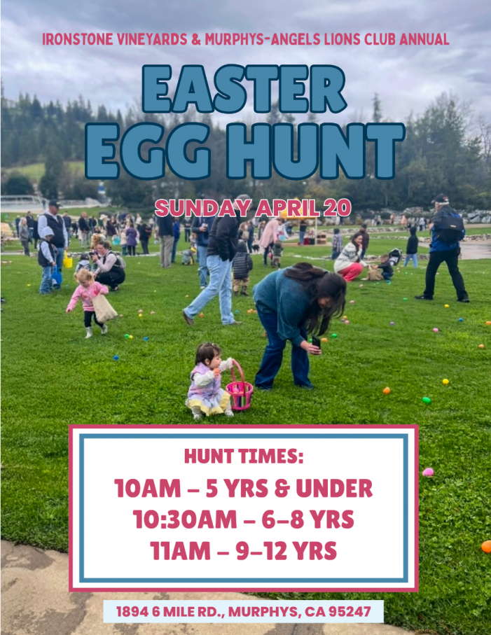 The 2025 Ironstone Vineyards & Murphys-Angels Lions Club Easter Egg Hunt!