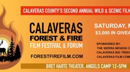 Second Annual Wild & Scenic Film Festival!