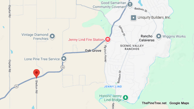 Traffic & Bovine Update….Mom Cow with Horns & Calves in Roadway Near Shelton Rd / Sr26