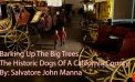 Angels Camp Museum Foundation Presents the Dogs of a California County
