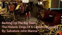 Angels Camp Museum Foundation Presents the Dogs of a California County