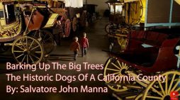 Angels Camp Museum Foundation Presents the Dogs of a California County