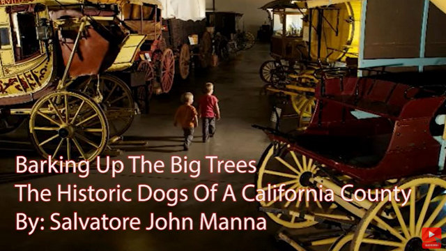 Angels Camp Museum Foundation Presents the Dogs of a California County