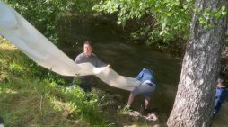 Lee Family Has Done Their Annual Fish Plant in Angels Creek