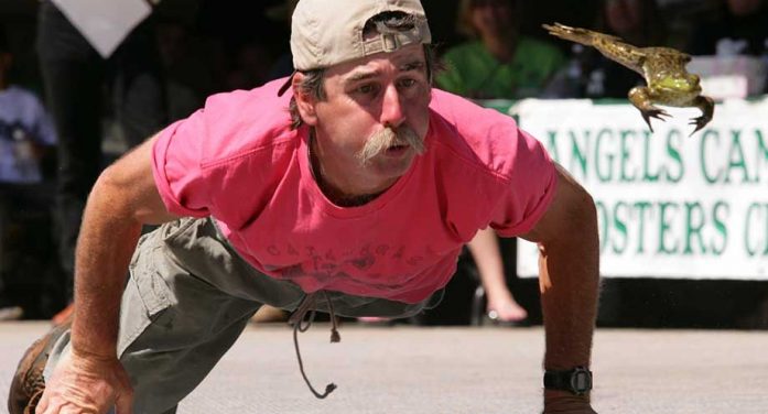 How Do They Jump So Far? Calaveras Frog Jump Secrets Revealed  ~ CVB Feature!