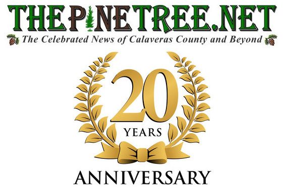 Thank You for 20 Years!!!!  ThePineTree.net Started Daily News Coverage in April of 2005