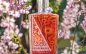 Hinterhaus Unveils Wine Cask Aged Gin