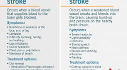 What Type of Stroke Is It?  ~ Health Update from Mark Twain Medical Center