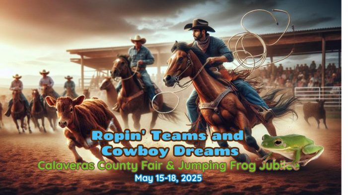 Calaveras County Fair Sunday Schedule, Frog Jump Finals, Destruction Derby & More!