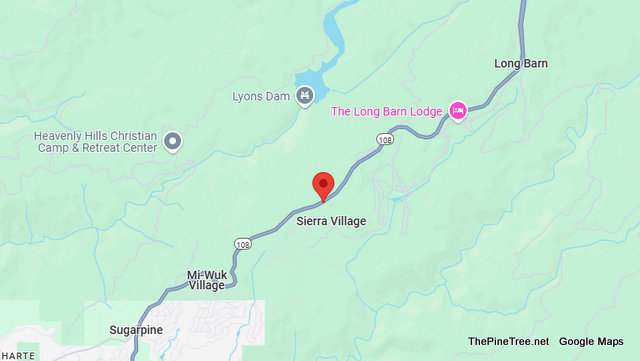 Traffic & Bovine Update….Trying to Wrangle Cow near Hwy 108 & Lyons Reservoir Road