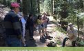 Guided Nature Walk: Get to Know Your Conifers