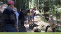 Guided Nature Walk: Get to Know Your Conifers